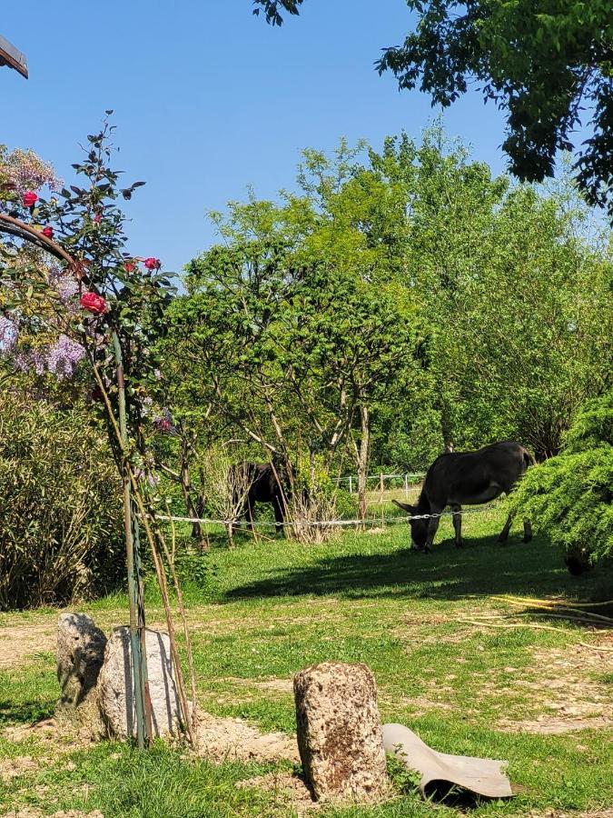 Отель Pey Sud Sistels Экстерьер фото